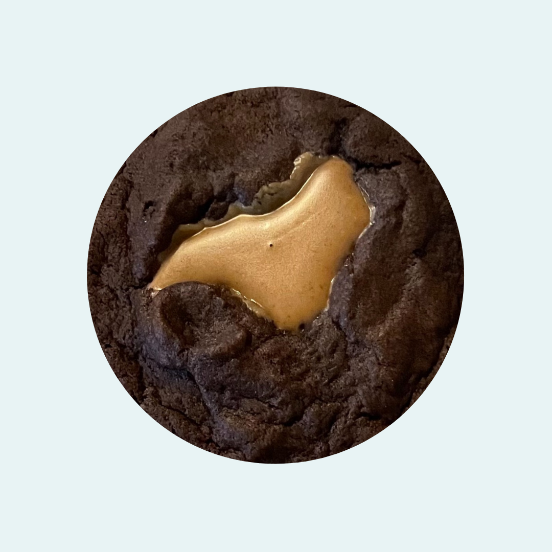 Double Chocolate Peanut Butter